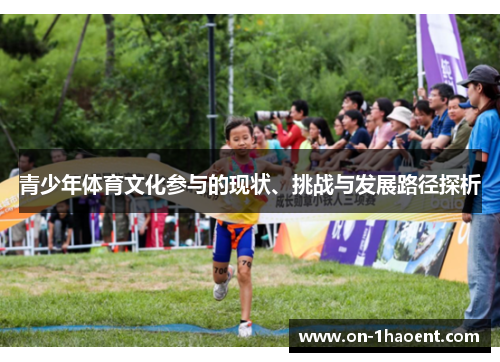 青少年体育文化参与的现状、挑战与发展路径探析