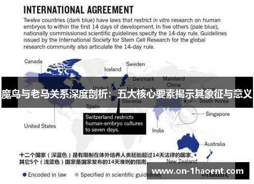 魔鸟与老马关系深度剖析：五大核心要素揭示其象征与意义