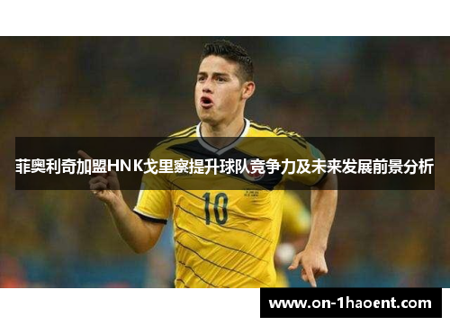 菲奥利奇加盟HNK戈里察提升球队竞争力及未来发展前景分析 菲奥利奇加盟HNK戈里察提升球队竞争力及未来发展前景分析