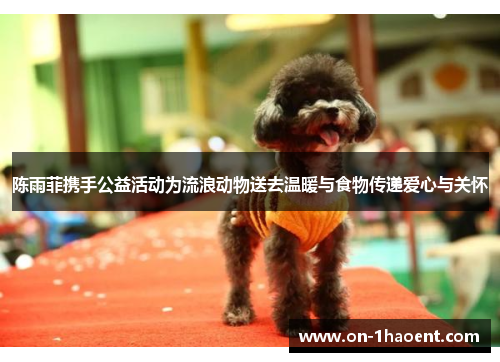 陈雨菲携手公益活动为流浪动物送去温暖与食物传递爱心与关怀 陈雨菲携手公益活动为流浪动物送去温暖与食物传递爱心与关怀